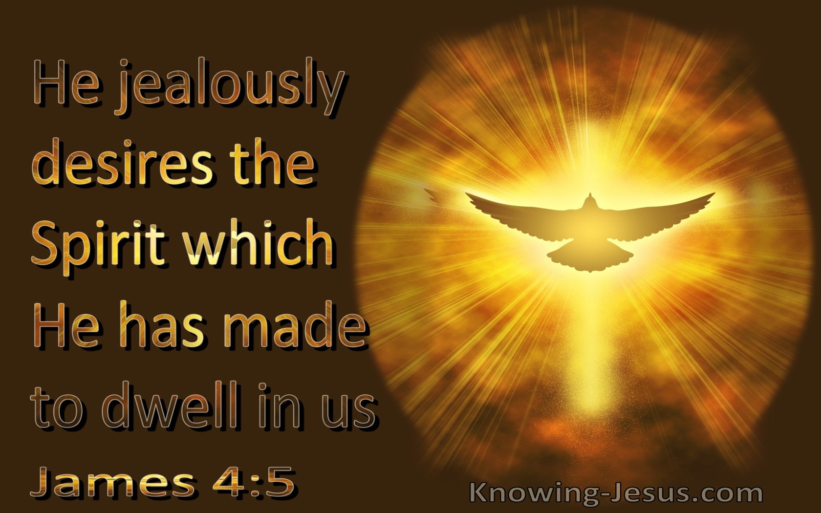 James 4:5 He Jealously Desires The Spirit Which He Has Made To Dwell In Us (brown)